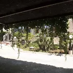 S.giorgio シャッカ